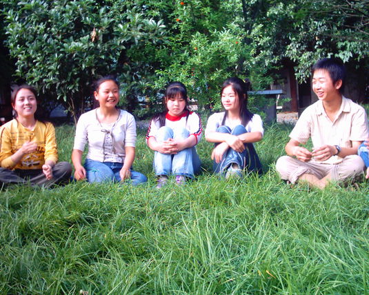 2006  (19)
